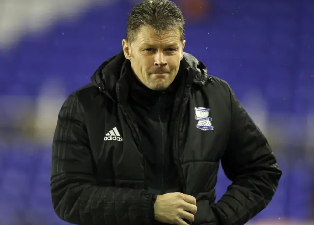 Birmingham City manager Steve Cotterill