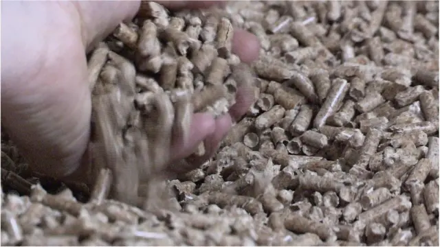 Biomass pellets