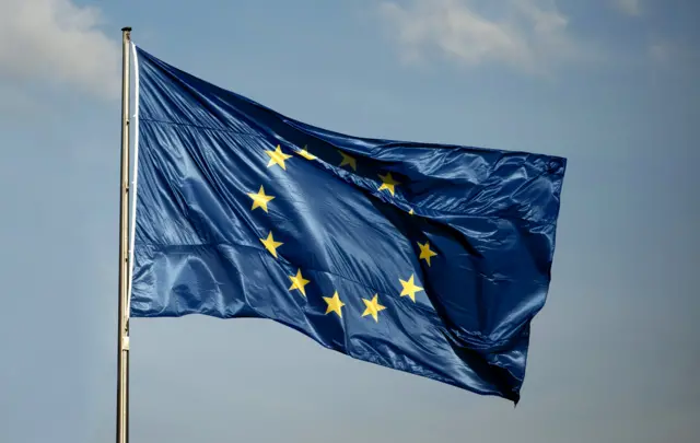 An EU flag