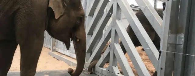 Tara during her move last week