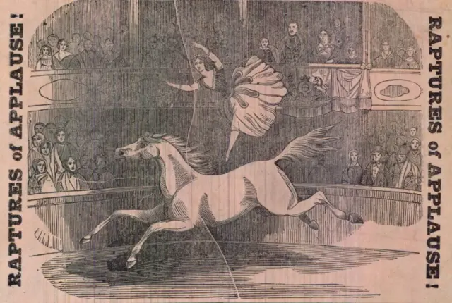 A picture included in the circus.