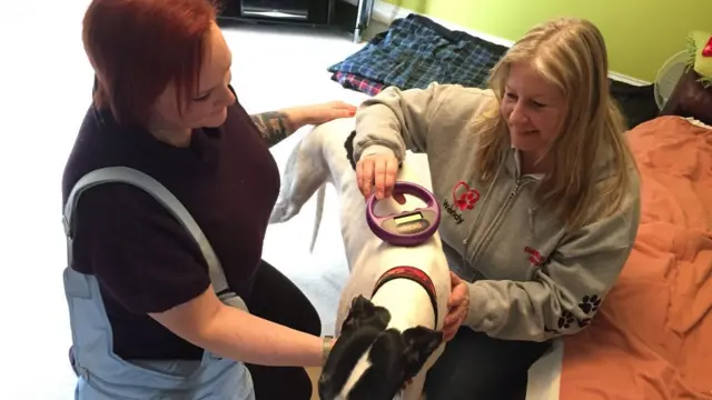 Wendy Grey with a dog and a trainee