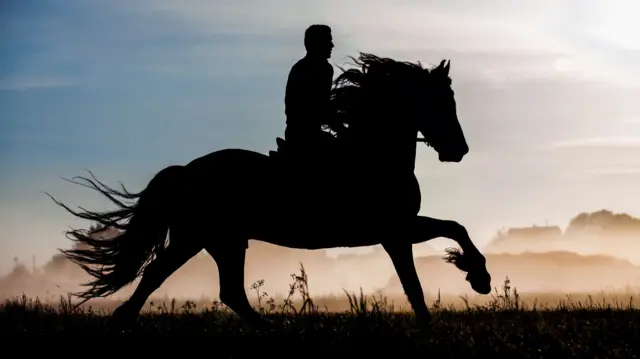 A man on a horse