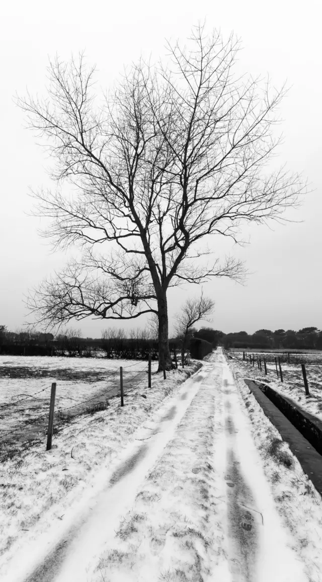 Jonathan Huelin's snow walk