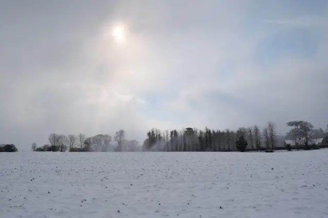 Snowy field in Barham