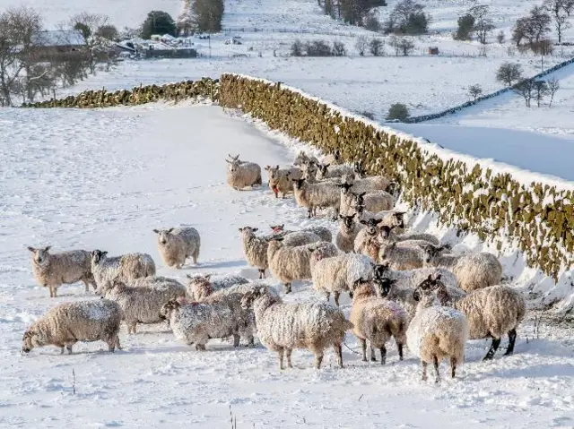 Snow in Staffordshire