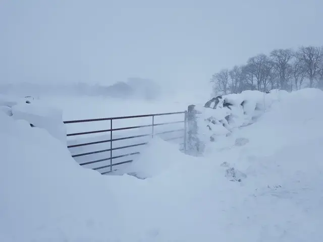 Gate in the snow