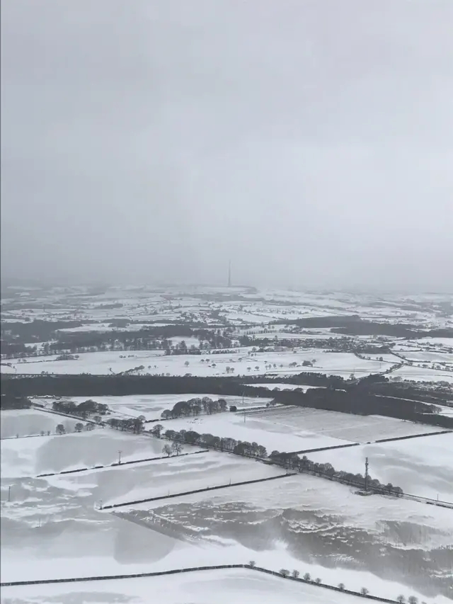 Snowy Barnsley