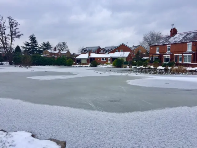 Frozen pond, Wrexham