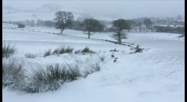 snow in north Wales