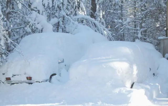 Cars covered in snow