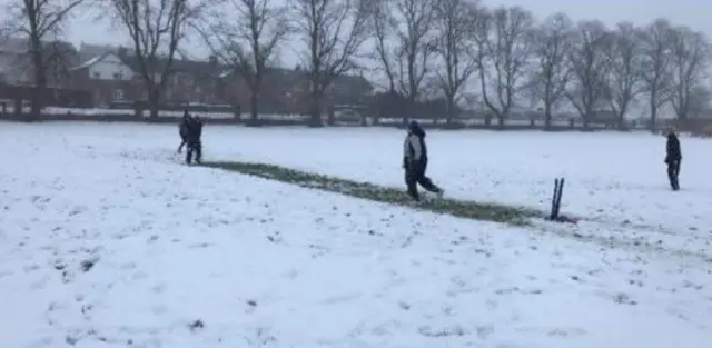 Cricket in the snow