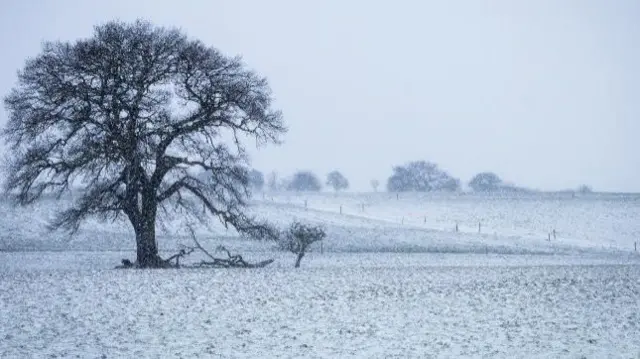 Snow in Staffordshire