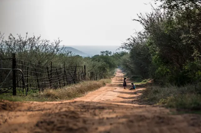 Farm in Limpopo