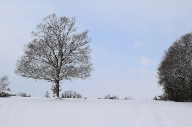 Snowy scene in Barham