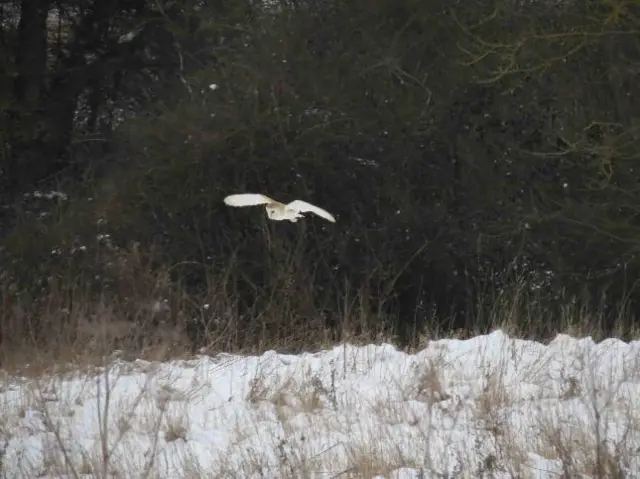 Burgh, Suffolk