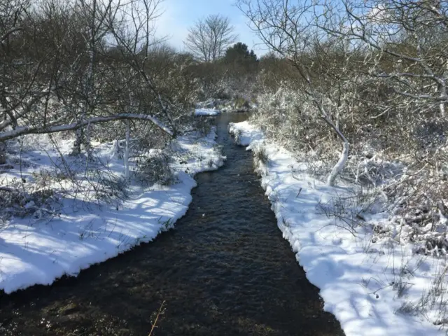 Stream in Treskillard, Redruth