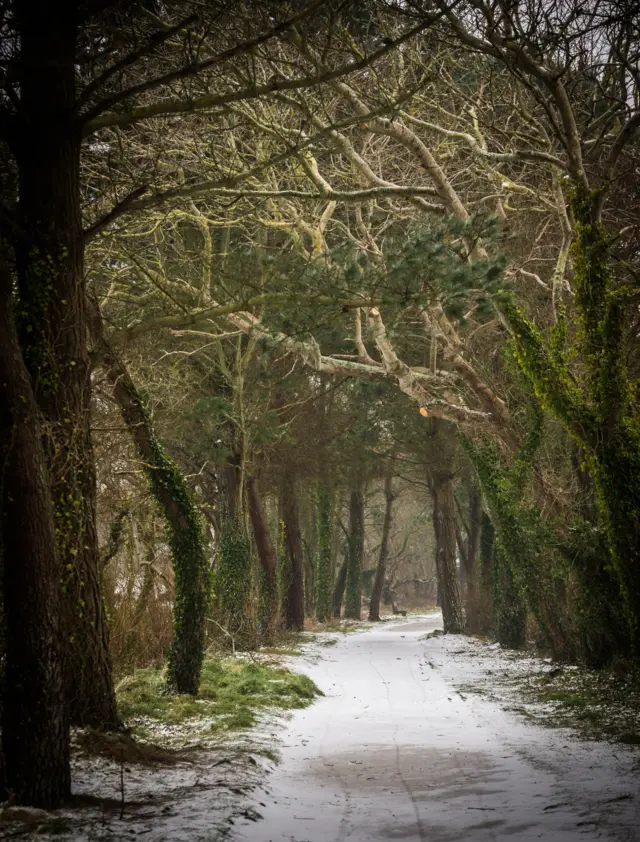 Jonathan Huelin's snow walk