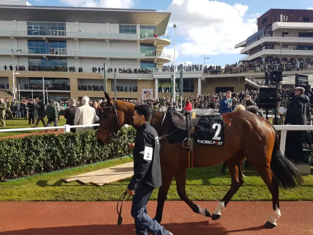 Footpad at Cheltenham