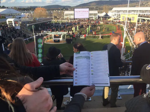 Sun at Cheltenham