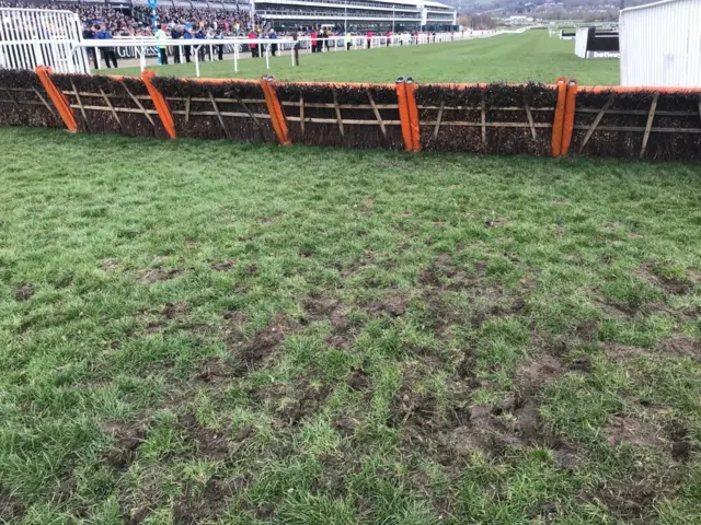 Cheltenham race course