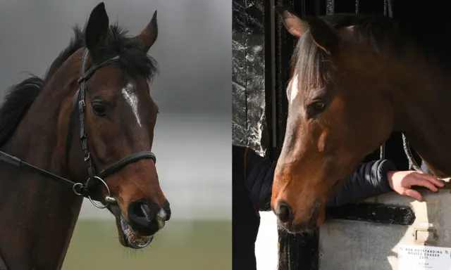 Douvan and Altior