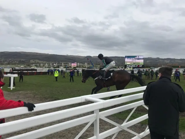 Altior on the way to the start of the Champion Chase