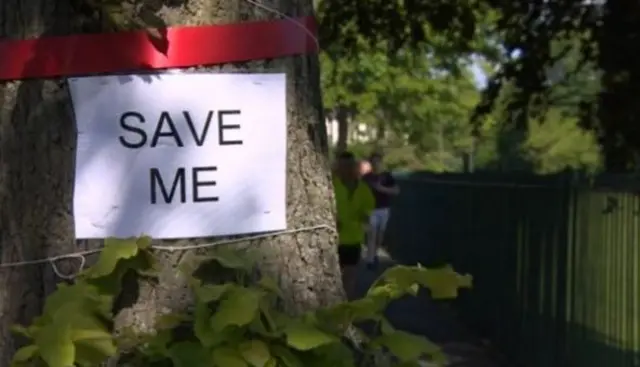 Tree with Save Me poster