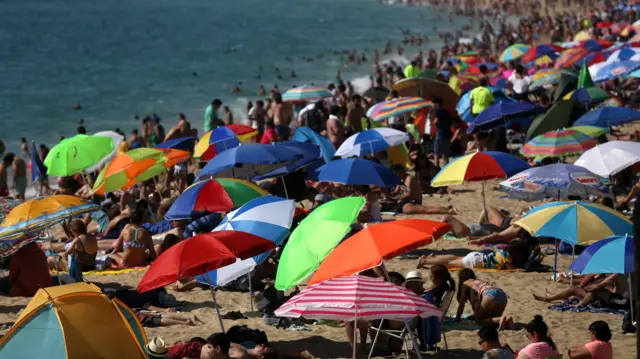 Parasols on a beach