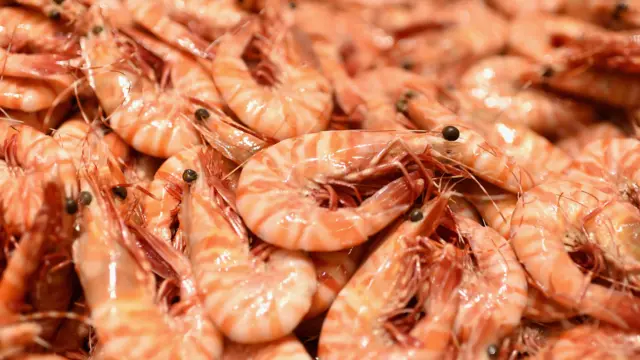 King prawns