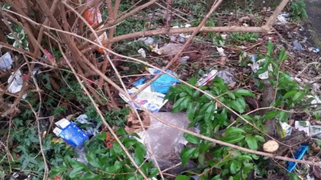 Rubbish in some bushes