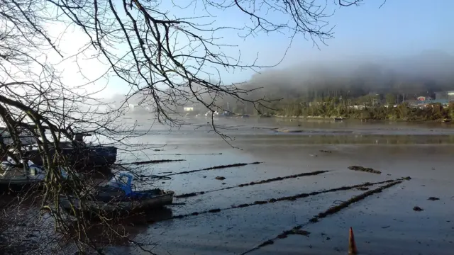 Misty Malpas. Pic: Suzanne Hocking