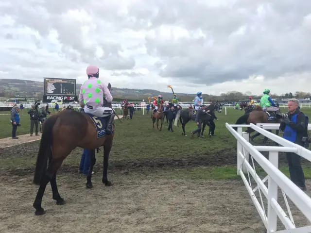 The parade ring