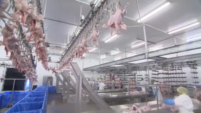 Inside a Moy Park factory