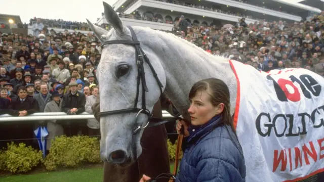 Desert Orchid