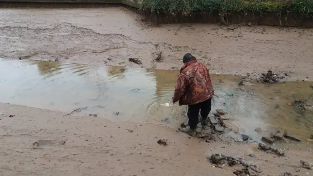 Man trying to rescue fish from canal