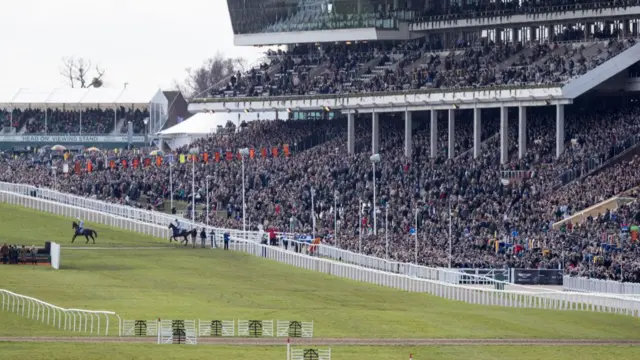 Crowd at Cheltenham Festival this week