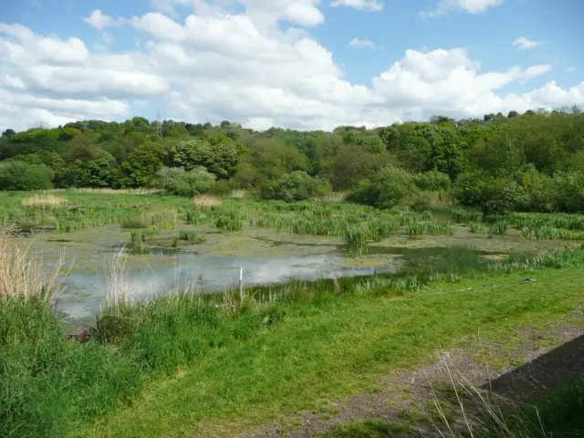 Rodley Nature Reserve