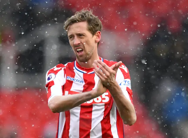 Stoke City's Peter Crouch