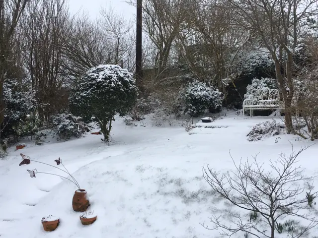 Snowy garden in Nercwys near Mold, Flintshire