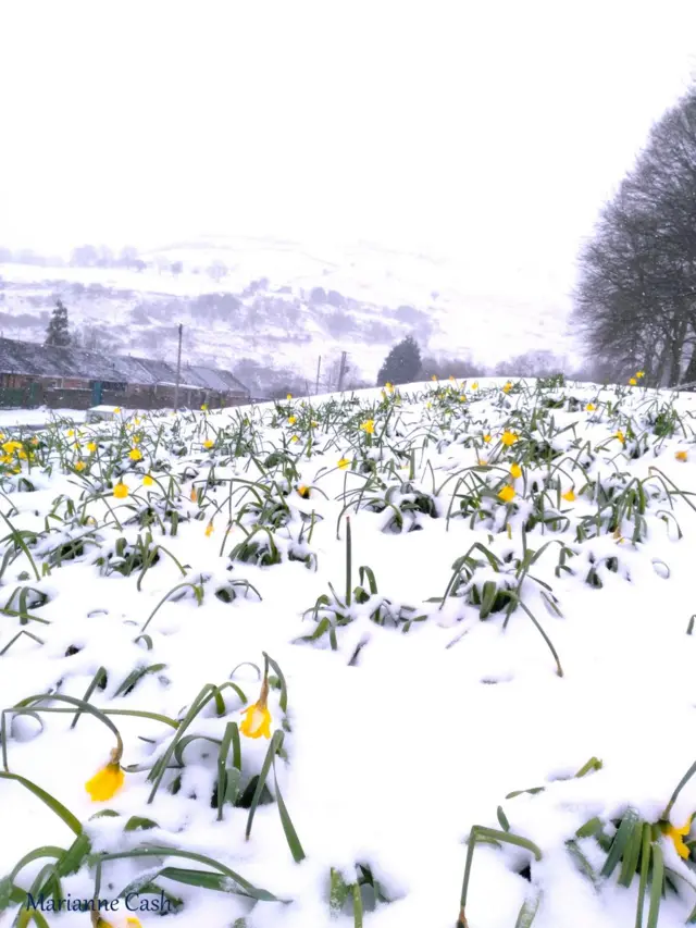 Pontycymer