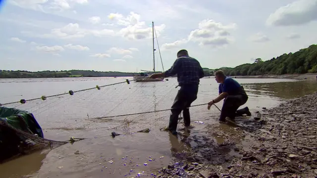 Salmon nets in the River Tamar