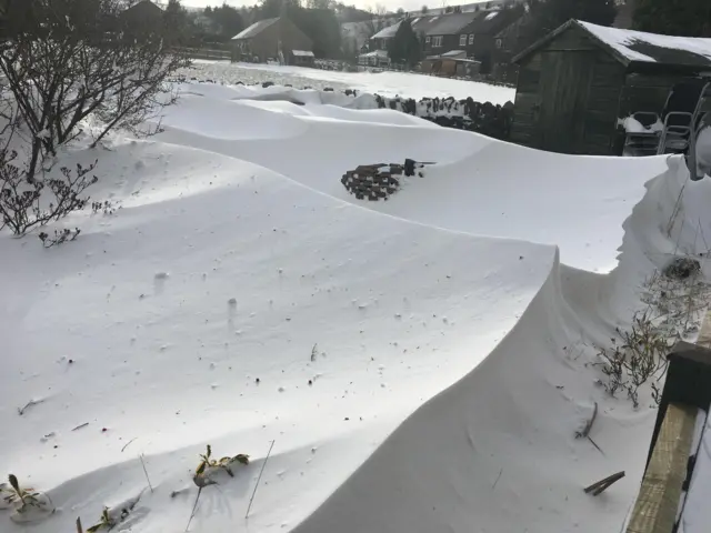 Snow-covered gardens