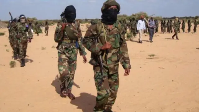 Al-Shabab militants