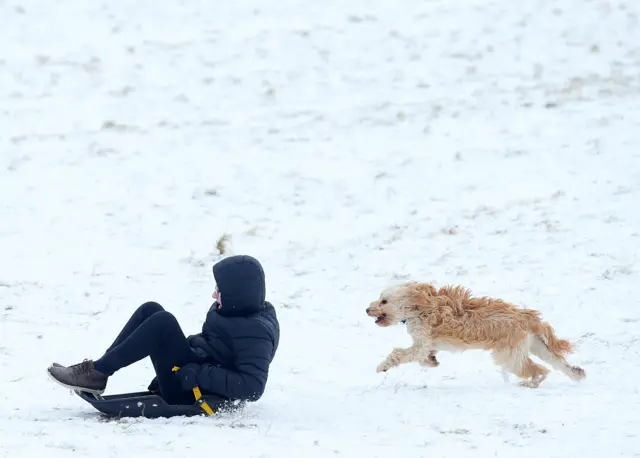 Boy on snow sleigh being chased by dog