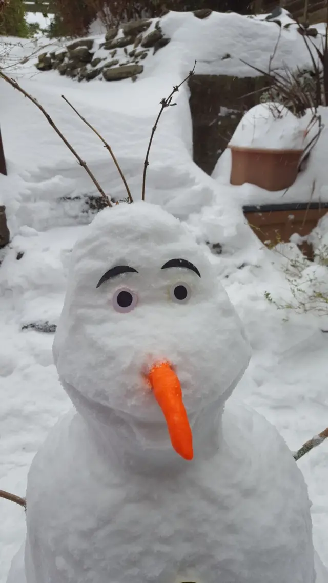 Olaf the snowman