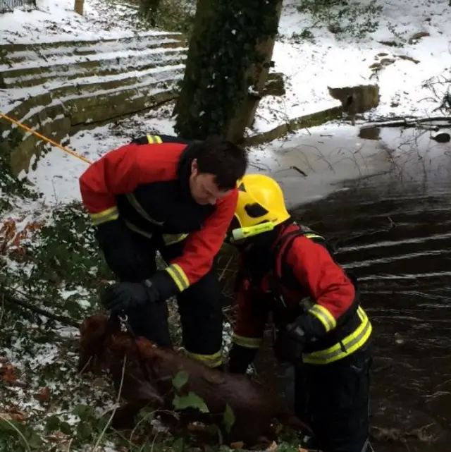 Fire crews rescuing a dog from a frozen pond at a Solihull park