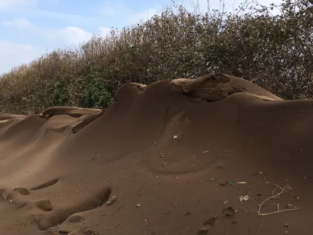 Soil-covered snow in Honing, Norfolk