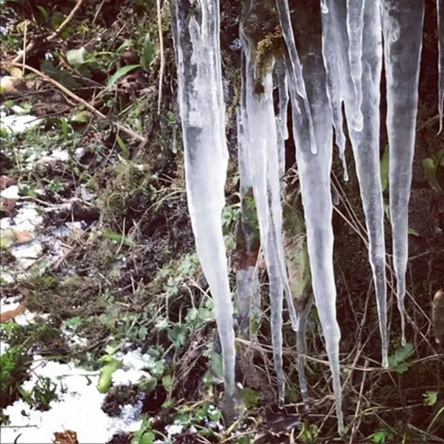 Icicles