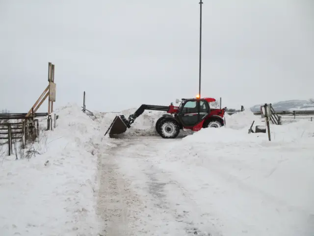 Tractor clearing road